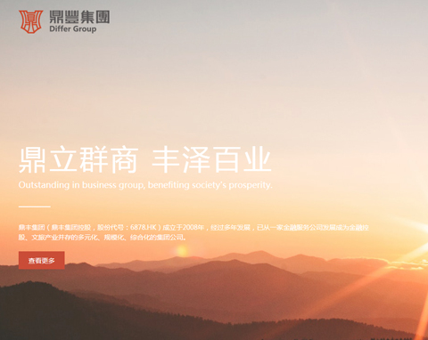 鼎丰网站设计项目完工上线