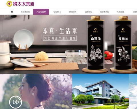 贵太太集团网站设计
