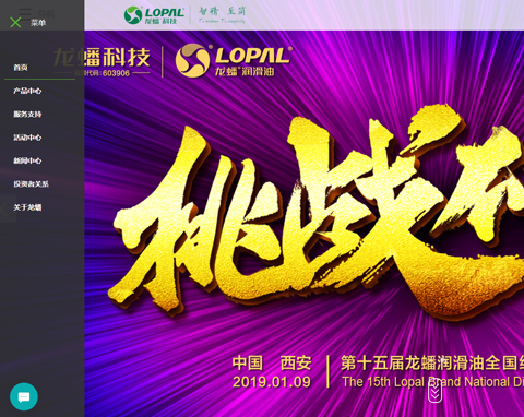 龙蟠集团网站制作开发完工