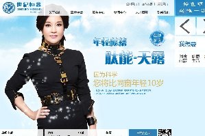 世纪恒鑫上海网站设计公司项目