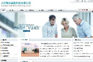 留森模具上海网站设计公司项目