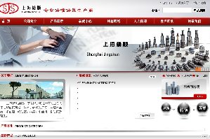 精顺油嘴油泵上海网站设计公司项目